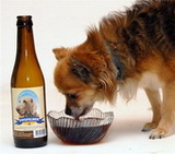 dogbeer